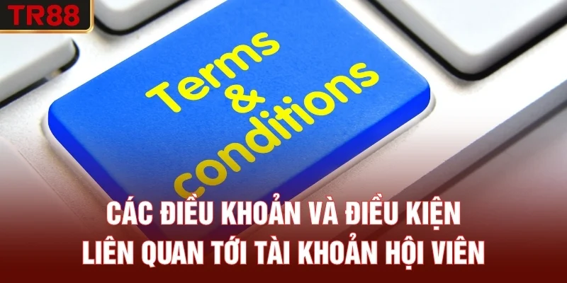 Các điều khoản và điều kiện liên quan tới tài khoản hội viên