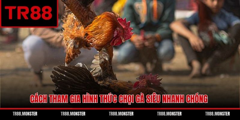 Cách tham gia hình thức chọi gà siêu nhanh chóng