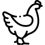 icon đá gà tr88