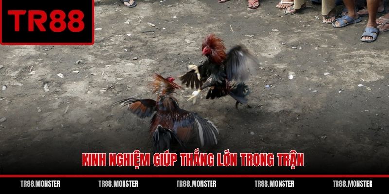 Kinh nghiệm giúp thắng lớn trong trận
