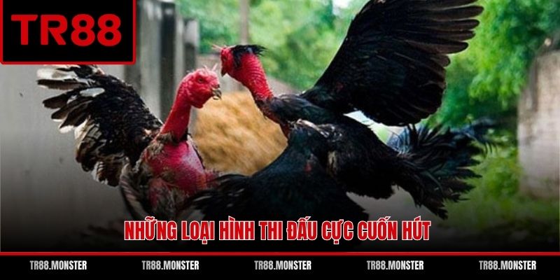 Những loại hình thi đấu cực cuốn hút